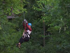 Zipline Tours