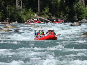 Skagit River is mild to moderate